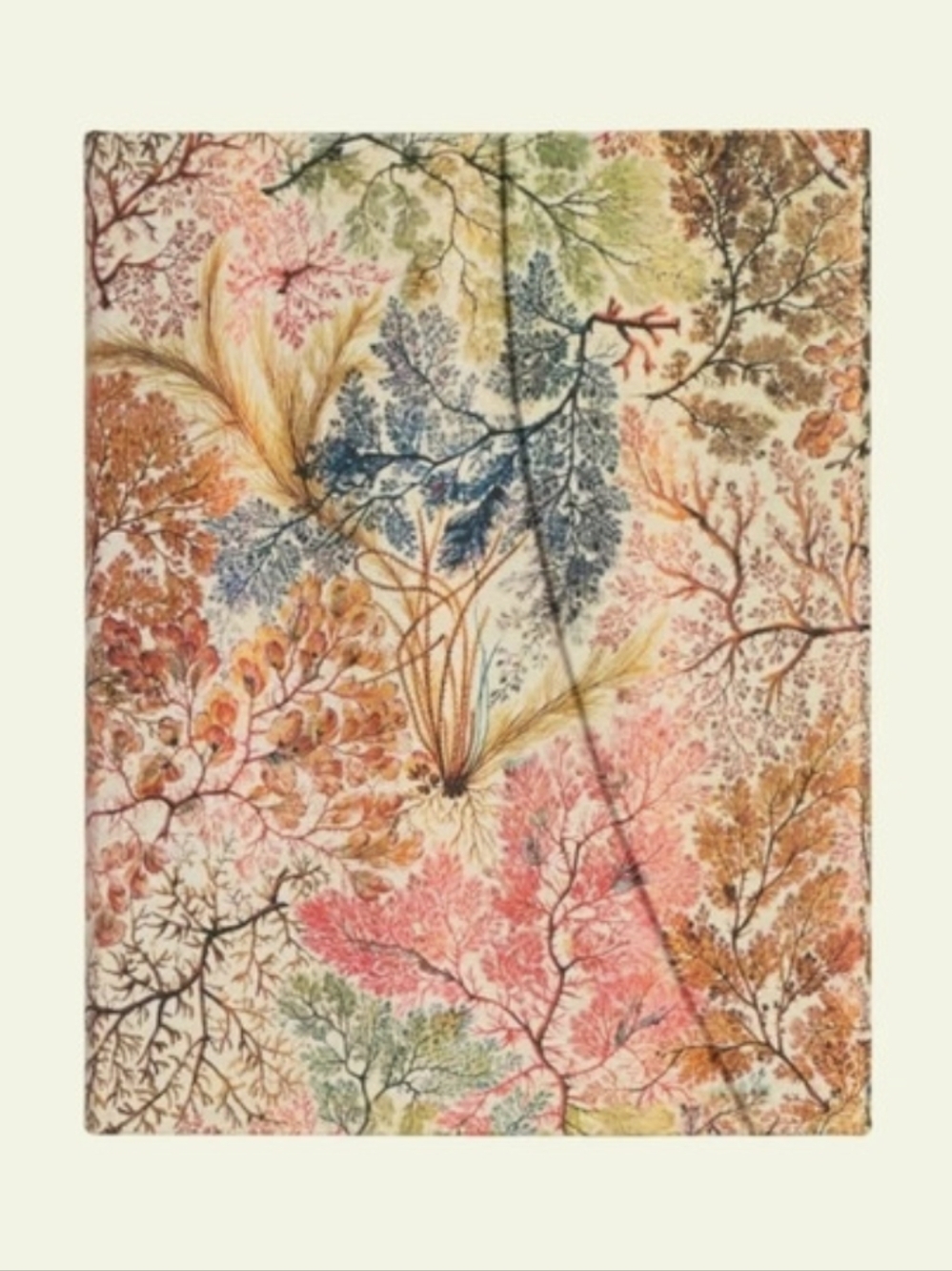 NEW Paperblanks Floral Hardcover Journal Lined 144 Pages 120 GSM
